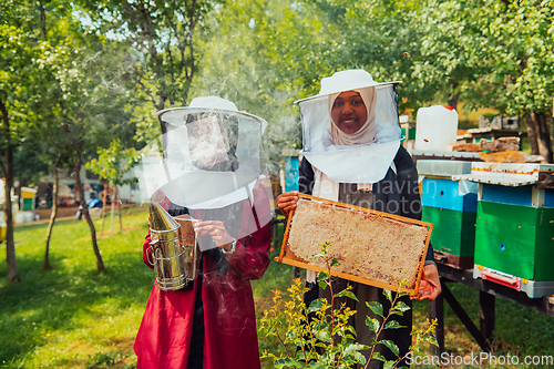 Image of Arab investors checking the quality of honey on a large honey farm in which they invested their money. The concept of investing in small businesses