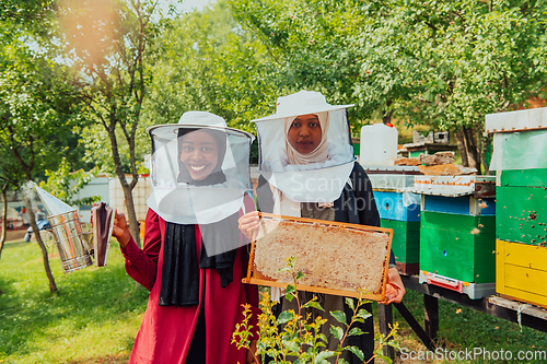 Image of Arab investors checking the quality of honey on a large honey farm in which they invested their money. The concept of investing in small businesses