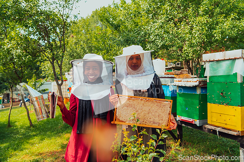 Image of Arab investors checking the quality of honey on a large honey farm in which they invested their money. The concept of investing in small businesses