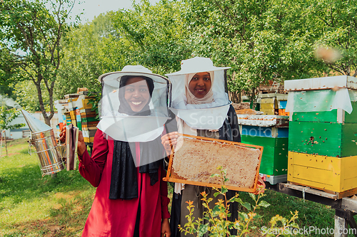 Image of Arab investors checking the quality of honey on a large honey farm in which they invested their money. The concept of investing in small businesses