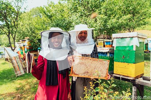 Image of Arab investors checking the quality of honey on a large honey farm in which they invested their money. The concept of investing in small businesses