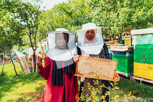 Image of Arab investors checking the quality of honey on a large honey farm in which they invested their money. The concept of investing in small businesses