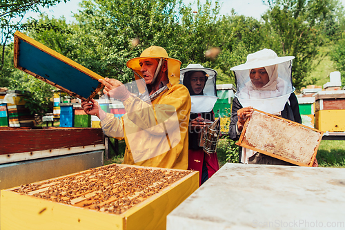 Image of Two Arab investors checking the quality of honey on a large bee farm in which they have invested their money. The concept of investing in small businesses