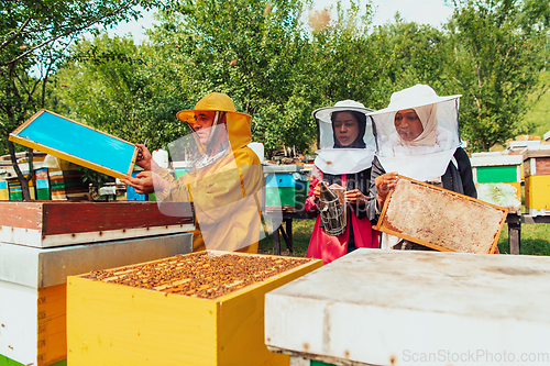 Image of Two Arab investors checking the quality of honey on a large bee farm in which they have invested their money. The concept of investing in small businesses