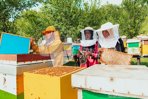 Image of Arab investors checking the quality of honey on a large bee farm in which they have invested their money. The concept of investing in small businesses