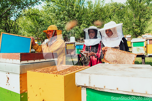 Image of Arab investors checking the quality of honey on a large bee farm in which they have invested their money. The concept of investing in small businesses