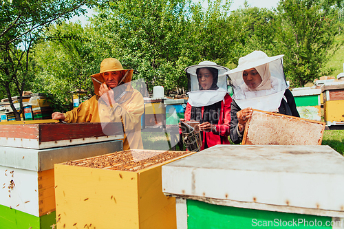 Image of Arab investors checking the quality of honey on a large bee farm in which they have invested their money. The concept of investing in small businesses