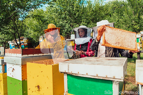 Image of Arab investors checking the quality of honey on a large bee farm in which they have invested their money. The concept of investing in small businesses