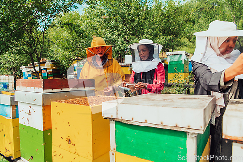 Image of Arab investors checking the quality of honey on a large bee farm in which they have invested their money. The concept of investing in small businesses