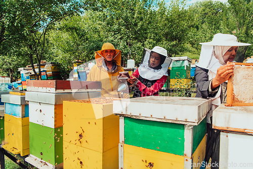 Image of Arab investors checking the quality of honey on a large bee farm in which they have invested their money. The concept of investing in small businesses