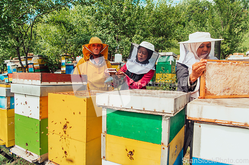 Image of Arab investors checking the quality of honey on a large bee farm in which they have invested their money. The concept of investing in small businesses