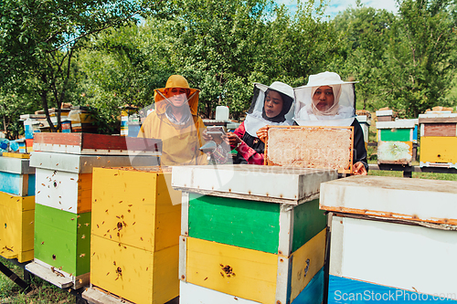 Image of Arab investors checking the quality of honey on a large bee farm in which they have invested their money. The concept of investing in small businesses