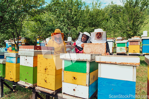 Image of Arab investors checking the quality of honey on a large bee farm in which they have invested their money. The concept of investing in small businesses