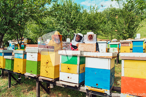 Image of Arab investors checking the quality of honey on a large bee farm in which they have invested their money. The concept of investing in small businesses