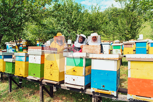 Image of Arab investors checking the quality of honey on a large bee farm in which they have invested their money. The concept of investing in small businesses