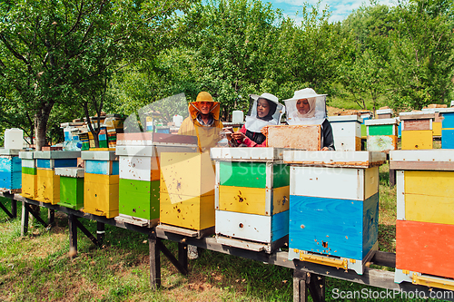 Image of Arab investors checking the quality of honey on a large bee farm in which they have invested their money. The concept of investing in small businesses