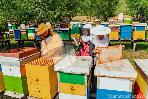 Image of Arab investors checking the quality of honey on a large bee farm in which they have invested their money. The concept of investing in small businesses