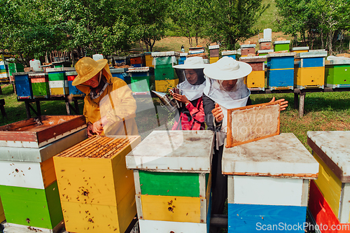 Image of Arab investors checking the quality of honey on a large bee farm in which they have invested their money. The concept of investing in small businesses