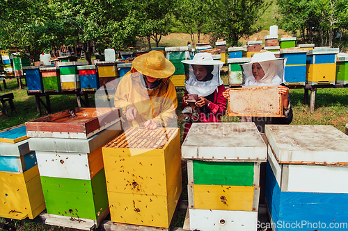 Image of Arab investors checking the quality of honey on a large bee farm in which they have invested their money. The concept of investing in small businesses