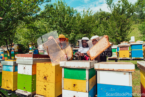 Image of Arab investors checking the quality of honey on a large bee farm in which they have invested their money. The concept of investing in small businesses