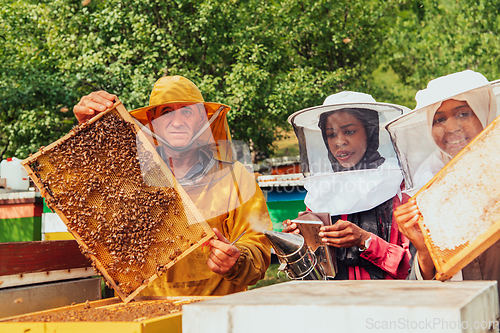 Image of Arab investors checking the quality of honey on a large bee farm in which they have invested their money. The concept of investing in small businesses