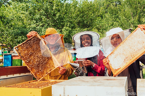 Image of Arab investors checking the quality of honey on a large bee farm in which they have invested their money. The concept of investing in small businesses