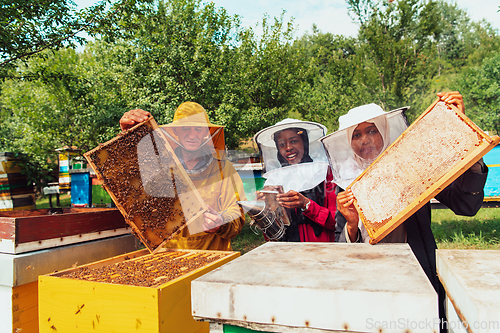 Image of Arab investors checking the quality of honey on a large bee farm in which they have invested their money. The concept of investing in small businesses