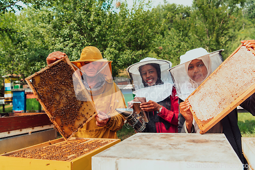 Image of Arab investors checking the quality of honey on a large bee farm in which they have invested their money. The concept of investing in small businesses