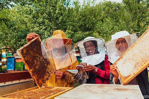 Image of Arab investors checking the quality of honey on a large bee farm in which they have invested their money. The concept of investing in small businesses