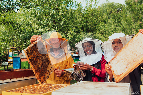 Image of Arab investors checking the quality of honey on a large bee farm in which they have invested their money. The concept of investing in small businesses