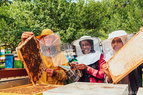 Image of Arab investors checking the quality of honey on a large bee farm in which they have invested their money. The concept of investing in small businesses