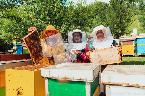 Image of Arab investors checking the quality of honey on a large bee farm in which they have invested their money. The concept of investing in small businesses