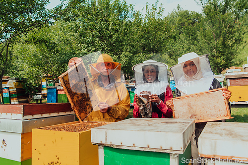 Image of Arab investors checking the quality of honey on a large bee farm in which they have invested their money. The concept of investing in small businesses