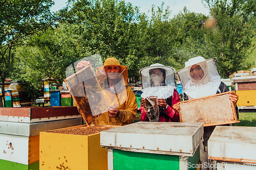 Image of Arab investors checking the quality of honey on a large bee farm in which they have invested their money. The concept of investing in small businesses