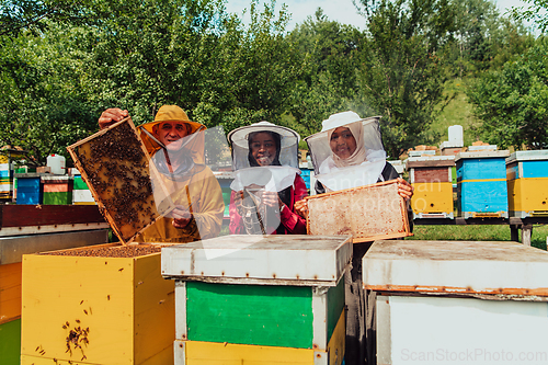 Image of Arab investors checking the quality of honey on a large bee farm in which they have invested their money. The concept of investing in small businesses