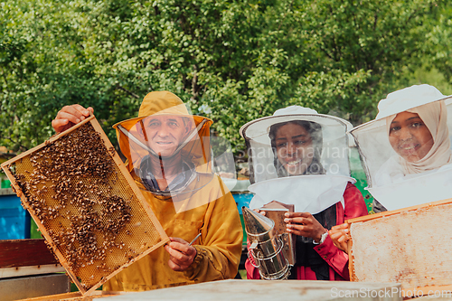 Image of Arab investors checking the quality of honey on a large bee farm in which they have invested their money. The concept of investing in small businesses