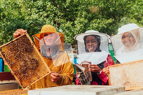 Image of Arab investors checking the quality of honey on a large bee farm in which they have invested their money. The concept of investing in small businesses