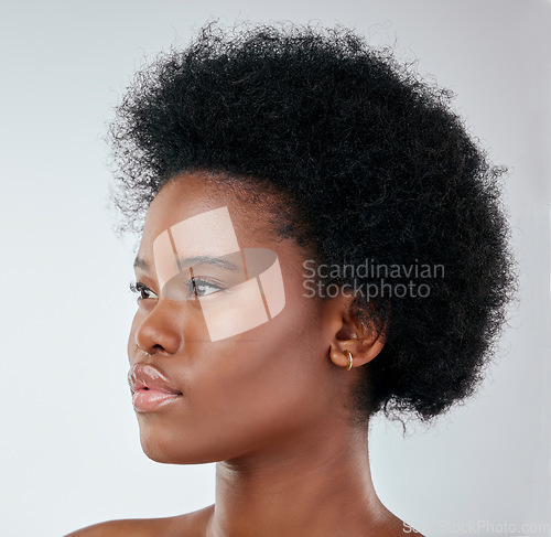 Image of Beauty, black woman and natural hair in studio for cosmetic, treatment and routine on white background. Haircare, face and African model with healthy glow, styling and curly, fresh or confidence