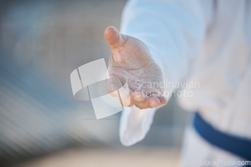 Image of Person, handshake and welcome for martial arts, deal or challenge with palm for class recruitment on space. MMA teacher, personal trainer or shaking hands for agreement, respect or karate with sport