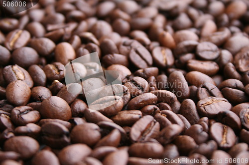 Image of Coffee beans