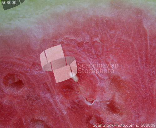 Image of Melon
