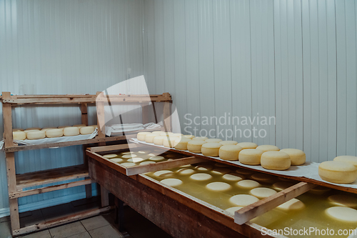 Image of A large storehouse of manufactured cheese standing on the shelves ready to be transported to markets