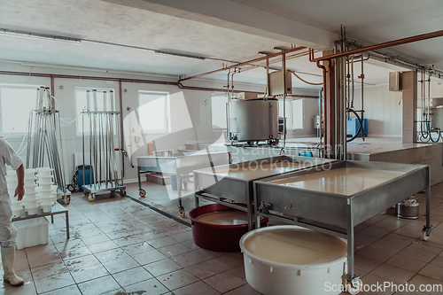 Image of The interior of a modern factory for the processing of dairy products and the production of various types of cheese