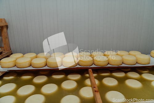 Image of A large storehouse of manufactured cheese standing on the shelves ready to be transported to markets