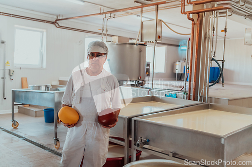 Image of A cheese makser working in the industry on various machines with the help of which cheese is processed. Small business concept