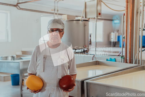 Image of A cheese makser working in the industry on various machines with the help of which cheese is processed. Small business concept