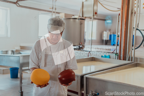 Image of A cheese makser working in the industry on various machines with the help of which cheese is processed. Small business concept