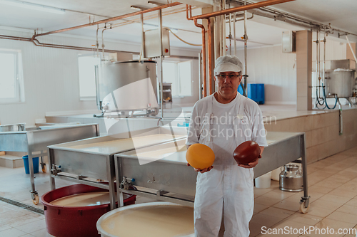 Image of A cheese makser working in the industry on various machines with the help of which cheese is processed. Small business concept