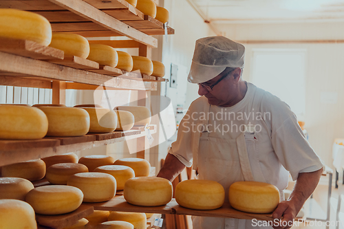 Image of A worker at a cheese factory sorting freshly processed cheese on drying shelves