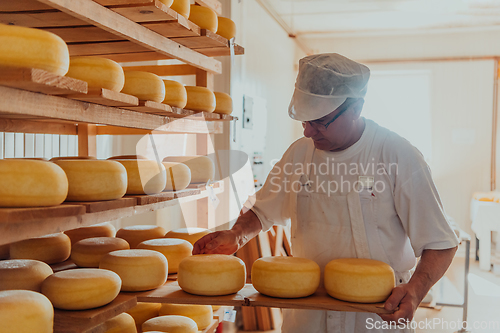 Image of A worker at a cheese factory sorting freshly processed cheese on drying shelves